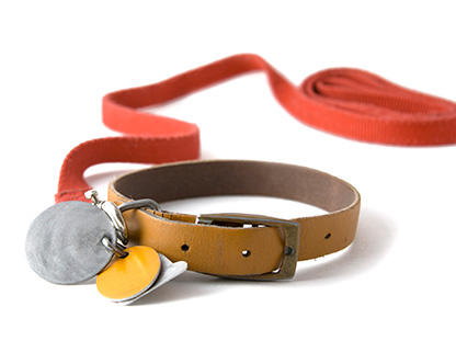 pet collar