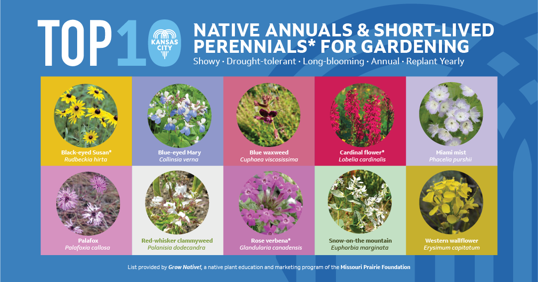 AnnualPerennials-instalandscape