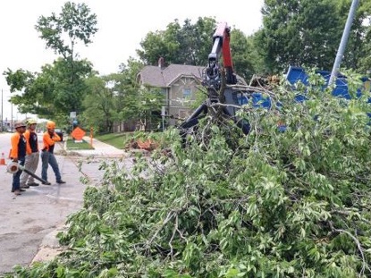 city workers tending to fallen tree 414x311