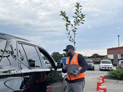 city worker presenting free tree