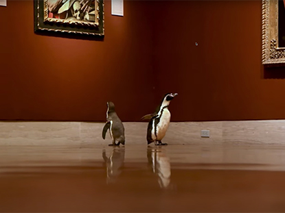 Penguins at the museum