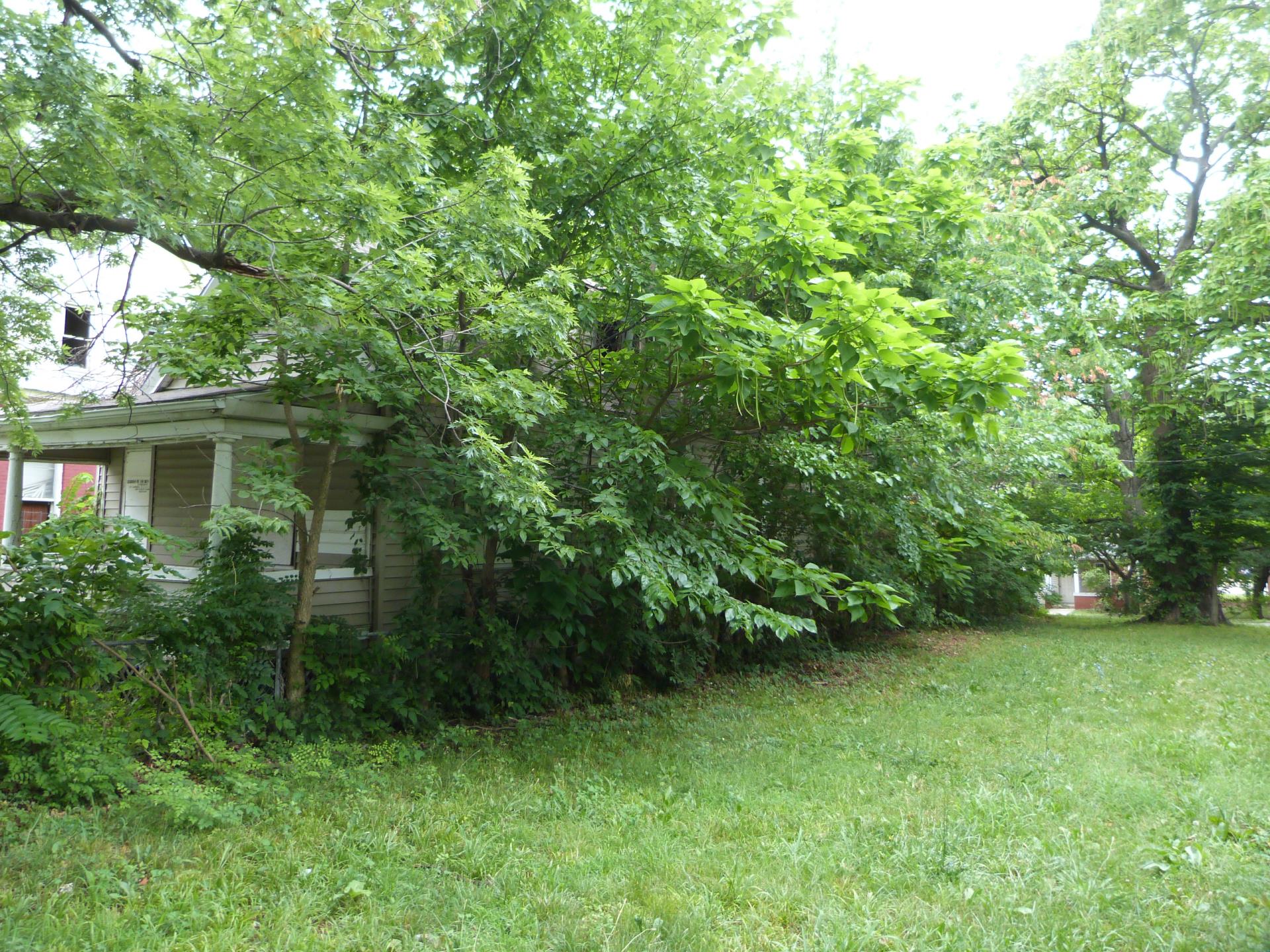 Exterior photo of side of house located at 3011 Montgall.