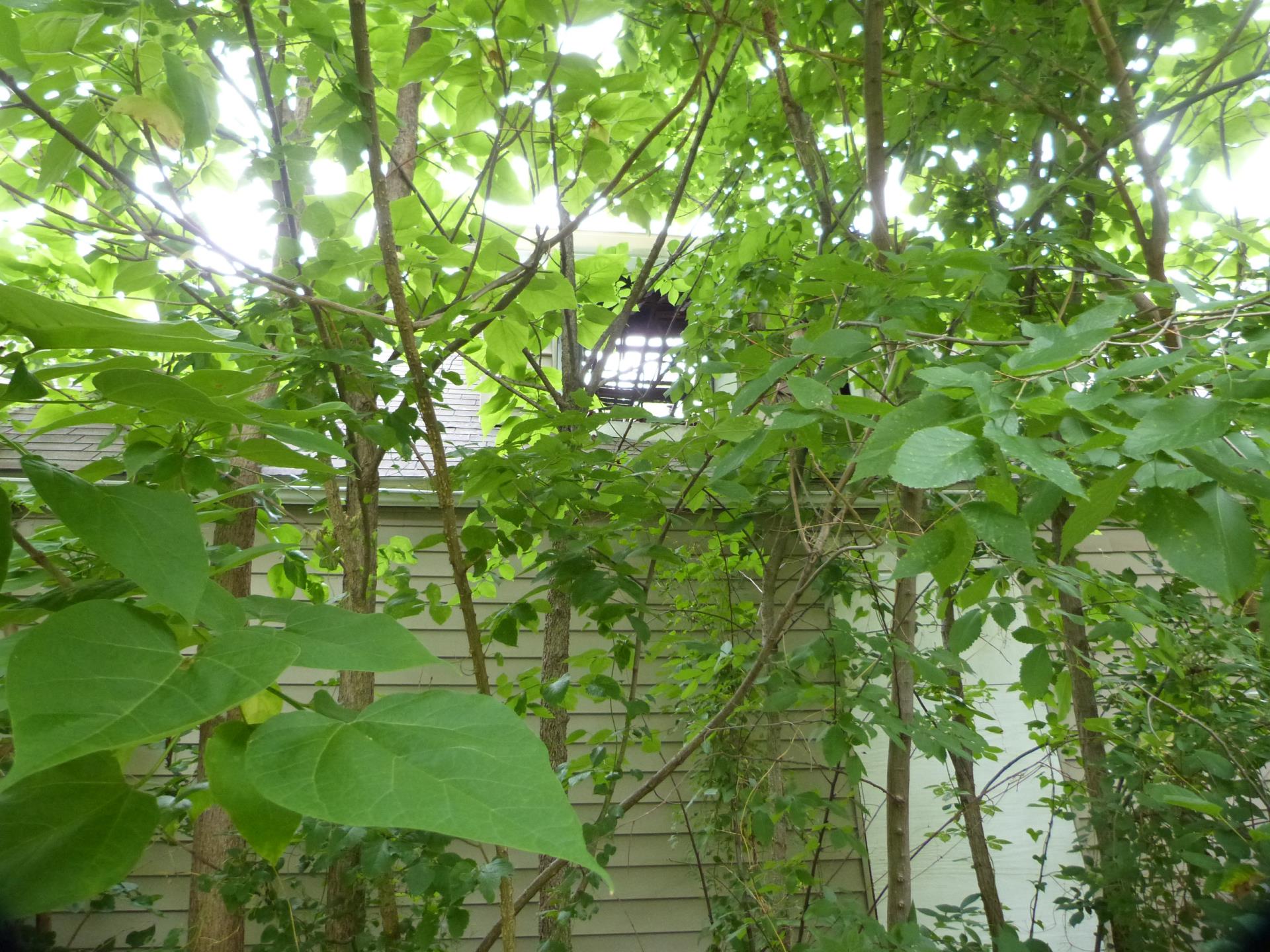 Exterior photo of the side/roof of house located at 3011 Montgall.