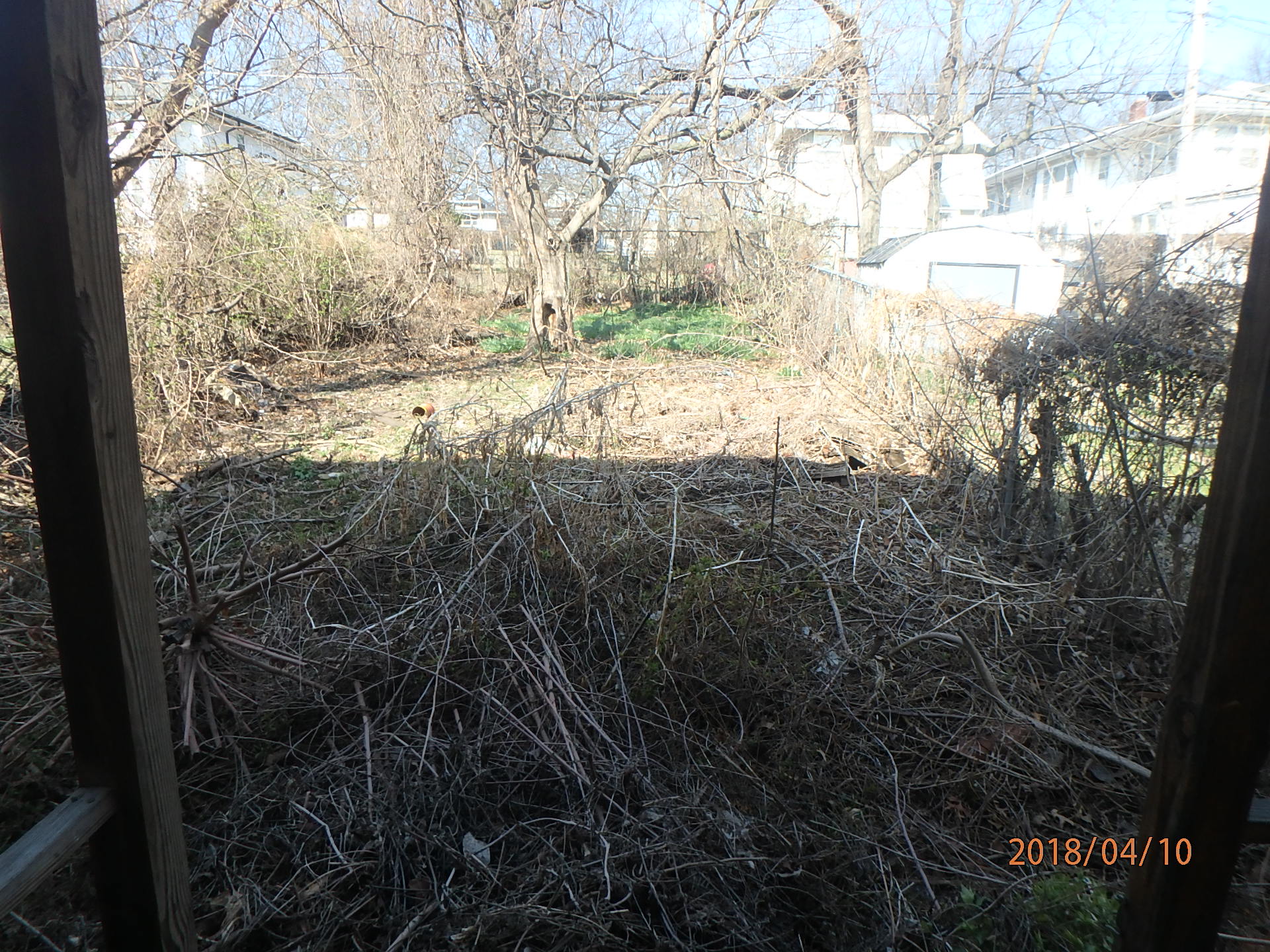 Exterior photo of backyard of house located at 3222 College.