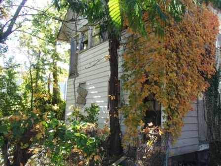 Exterior photo of back of house located at 3331 College.